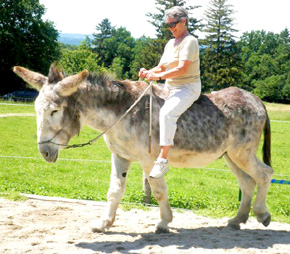 Mit 70 zum ersten mal auf einem Esel reiten